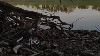 Little Calumet River fishing