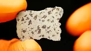 PolandMET Meteorite TARKINT 001 (1.81 gram)