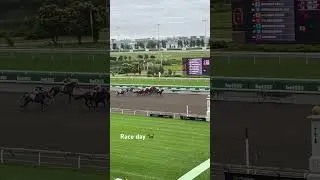 #racing #horseracing #horse #horseriding #horses #toronto #canada #woodbine