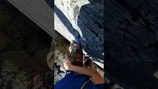 Pembroke trad climbing - Porthclais Crack - HS Porth Clais #shorts #tradclimbing #climbing