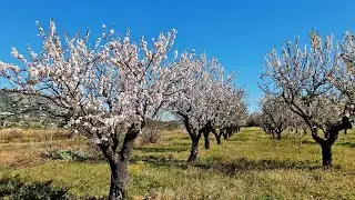 Costa Blanca Vall de Pop e 1
