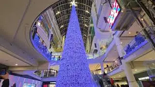Beautiful Colours of Christmas 🎄 Tree 😍