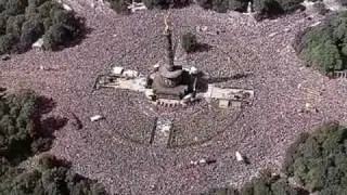 Tube & Berger - Gene Code