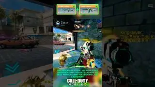 Legendary DL Q33 & Legendary AK117 - Holidays are now the MOST OG Combo #codm #codmshorts #codmobile