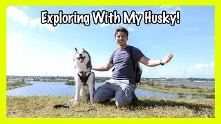 Exploring A Walking Trail With My Dog