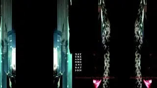 Nature And Organisation feat. David Tibet and Rose McDowall - Tears For An Eastern Girl
