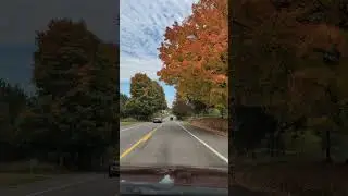 Driving to town, tree colors #music #subscribe #youtube #rock #driving #fall #colors #car