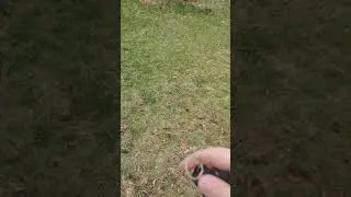 Enola Gaye Eg67 Grenade!!!