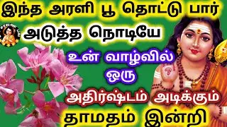 அரளி பூ தொட்டு பார் அடுத்த நொடியே உன் வாழ்வில் ஒரு அதிர்ஷ்டம் அடிக்கும்