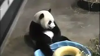 2015-06-23 Bao Bao's 