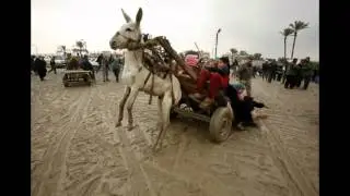 Miracles of Logistics and Transport extreme situation!!