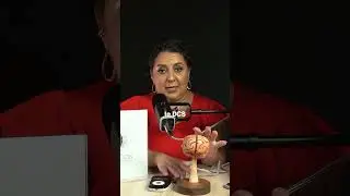 🔬 Neuromodulaci&oacute;n tDCS.