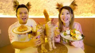 PERGI KE CAFE KUCING!! MAKAN BARENG SAMA KUCING-KUCING!!