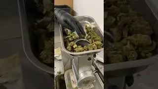 Behind The Scenes - Hhemp.co Products Made From 100% Hemp Flower