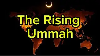 The Rising Ummah: A Truth the World Is Ignoring