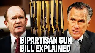 The Senate&rsquo;s Bipartisan Gun Control Bill Lacks REAL Gun Control Solutions