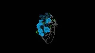 Sad Acoustic Guitar Type Beat - 