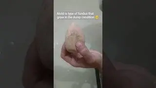 Black spots on beauty blender🤔🥺#shorts#tranding#viralshort#makeup#beautyblender#hack#cleaning#daily