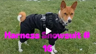 Harness Snowsuit #16