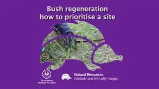 Bush regeneration: how to prioritise your site