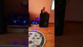 Fbt 1000 wati