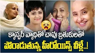 Top Heroines Who Survived From Cancer | List Of Indian Celebrities Who Suffered From Cancer Latest