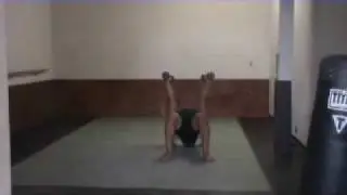 Stability Ball Dumbbell Matrix 1