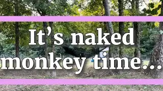 Fun evening outside with the monkeys🩵 #monkeys #animals #farm