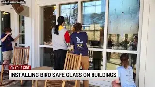 Installing bird safe glass on buildings