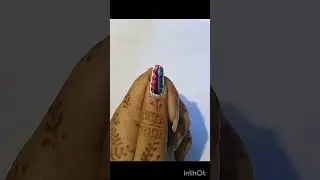 holi  nail art💅💅💅💅