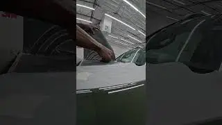 Графика на капоте Tacoma