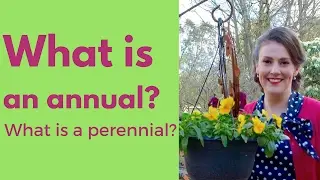 What is an annual plant? What is a perennial plant? // The Gardenettes