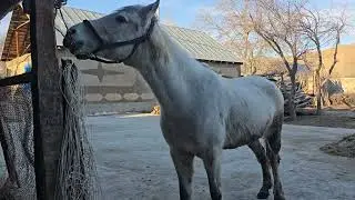 19 января 2026 г.