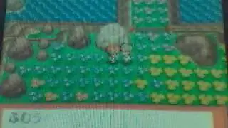 Pok&eacute;mon Diamond - Shaymin