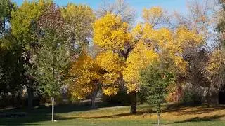October Moon Cycle, Crystal Energy Report 10052017