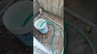 N. S pest control service available cal 8008609105