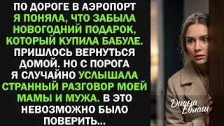 Вернулась из аэропорта за новогодним подарком, но подслушав разговор мамы и мужа