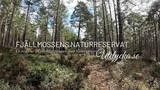 Dagstur på Fjällmossens naturreservat