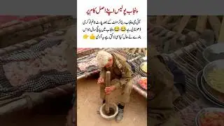 Punjab Police Back to Real Duty? IG Punjab Faces Criticism After Retirement