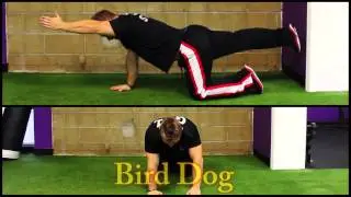 Personal Trainer Home Toning Workout   Old Bridge, NJ