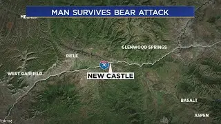 Colorado Parks and Wildlife searching for bear after man attacked in his backyard