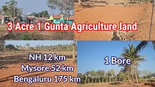 Agriculture land for sale Good location near village NH 12 km Mysore 52 km Bengaluru 175 km