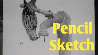 Bird drinking water from tap (Pencil sketch)| Timelapse