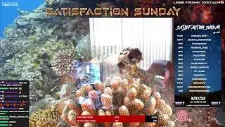 Satisfaction Sunday Ep. 63| Up Next @toandown | Road to 250 followers | #dubstep #trvp #DnB #riddim