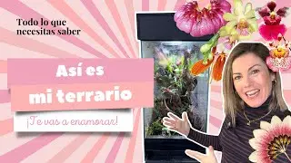 😍 Mi terrario para plantas: &iexcl;todo lo que necesitas saber!