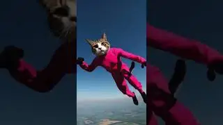 cat tv for cats #squirrel #birds #dance #chat #cat #pet #fun #funny #catvideo #catsgames  #watch