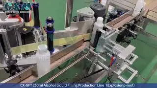 Explosion Proof Alcohol Filling Machine Production Line | 250ml Disinfectant Filling Line