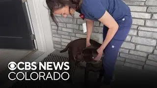 Colorado ER nurse helps abused dogs check off bucket list items