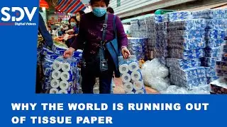 Why the world is buying toilet paper in bulk; Coronavirus panic buying explained