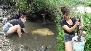 Best fishing skills, River and lake fishing skills, Fishing techniques, Catching a lot of big fish